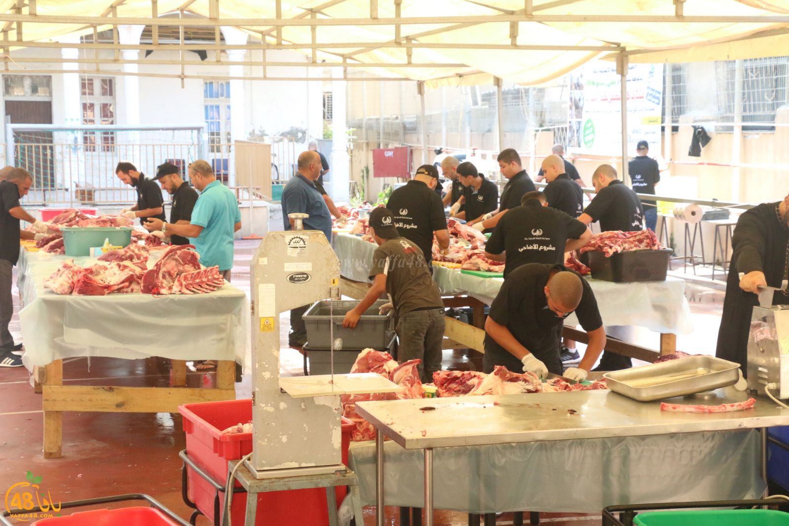 lo7om jam3iya u3 (15).jpg